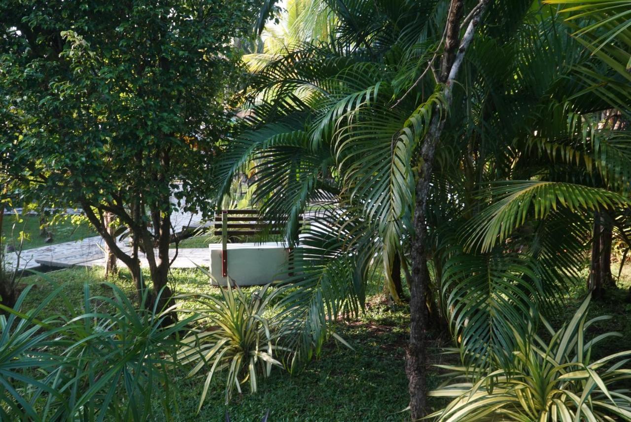Red Coconut Villa Bentota Exterior foto